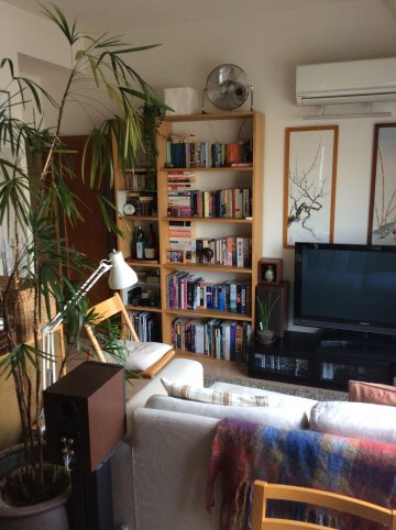 Japanese Apartment